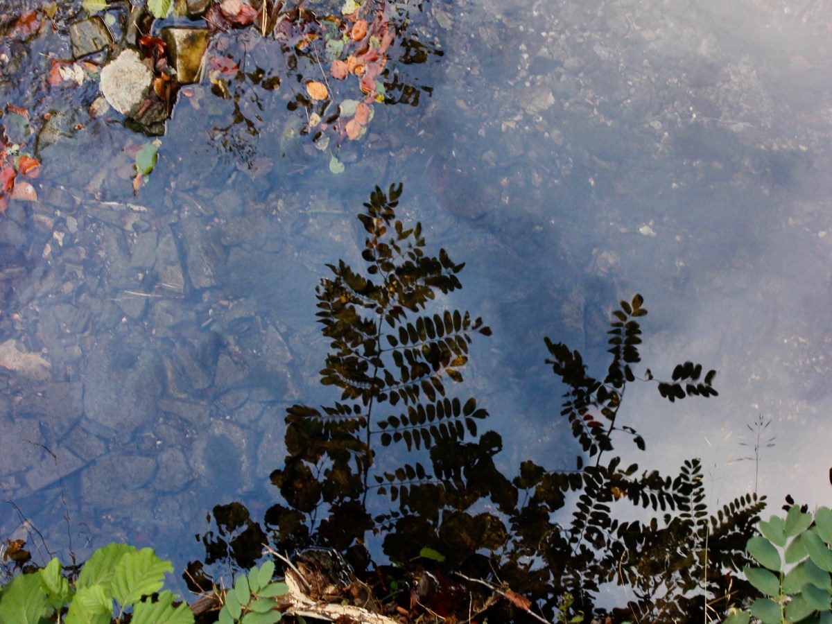 Veränderungen & Sehnsucht nach Beständigkeit