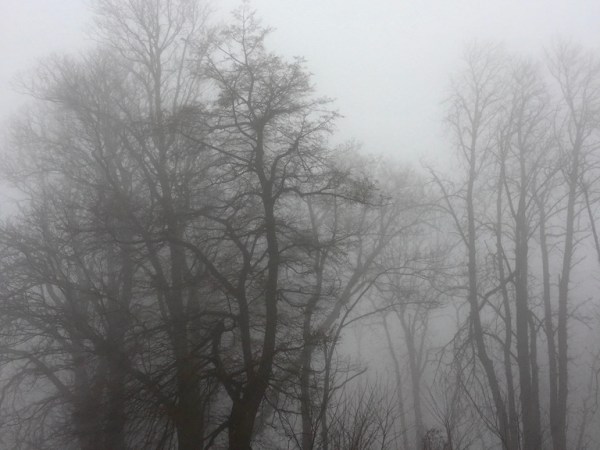 Echo – wie sich abgespaltene Anteile anfühlen