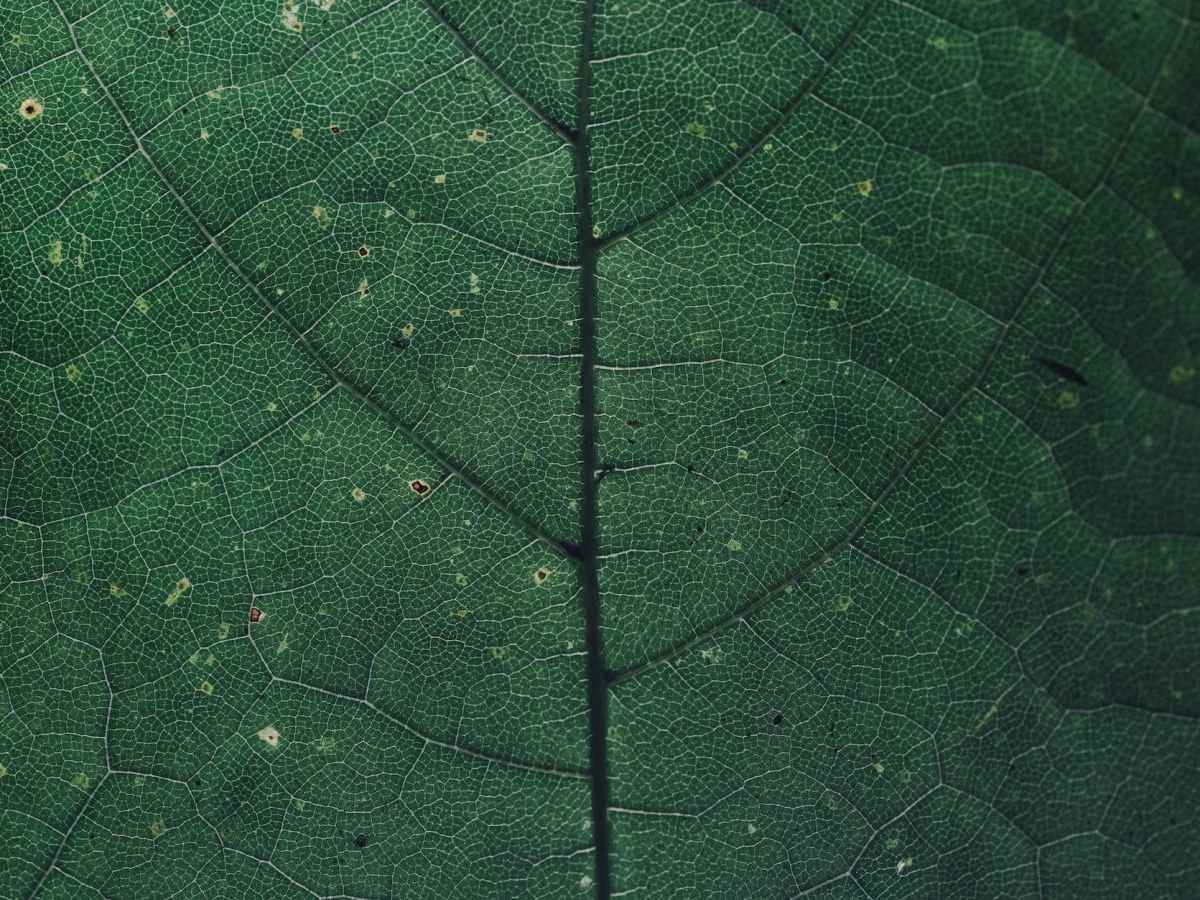 Was bisher geschah…